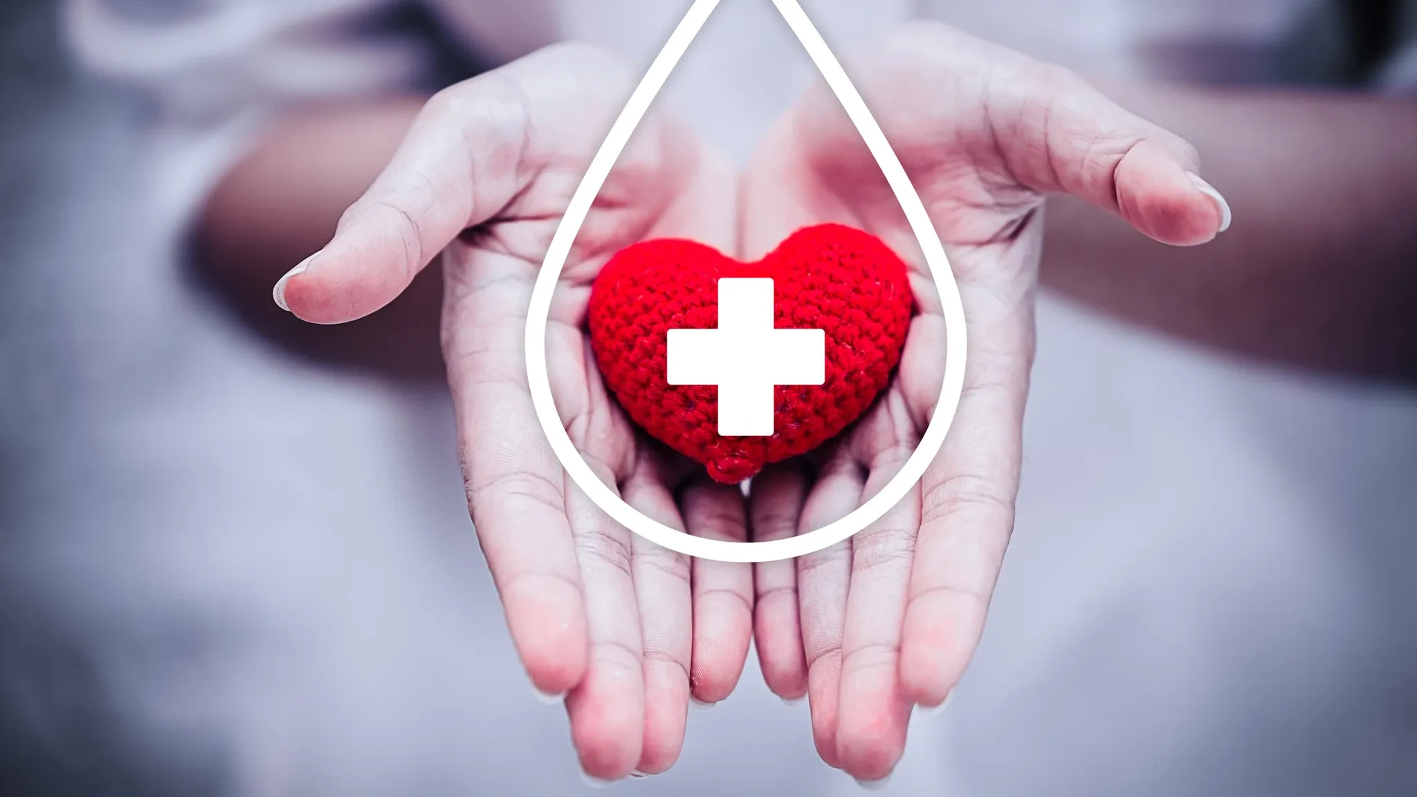 Don de plasma : une OPS solidaire inspirante sur leboncoin